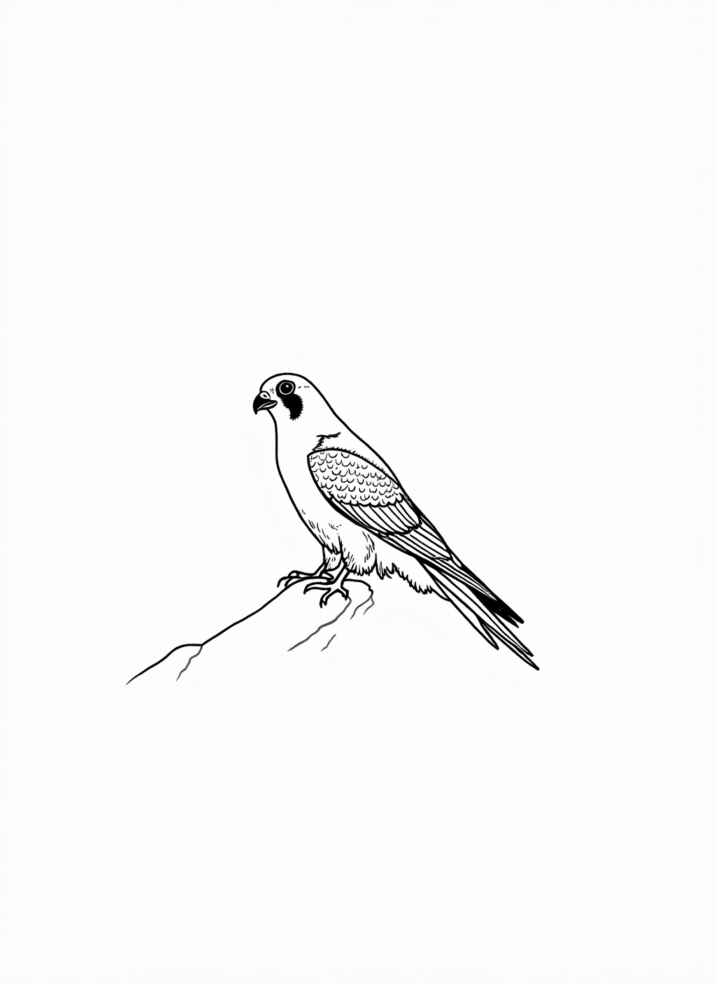 Falcon Coloring Page