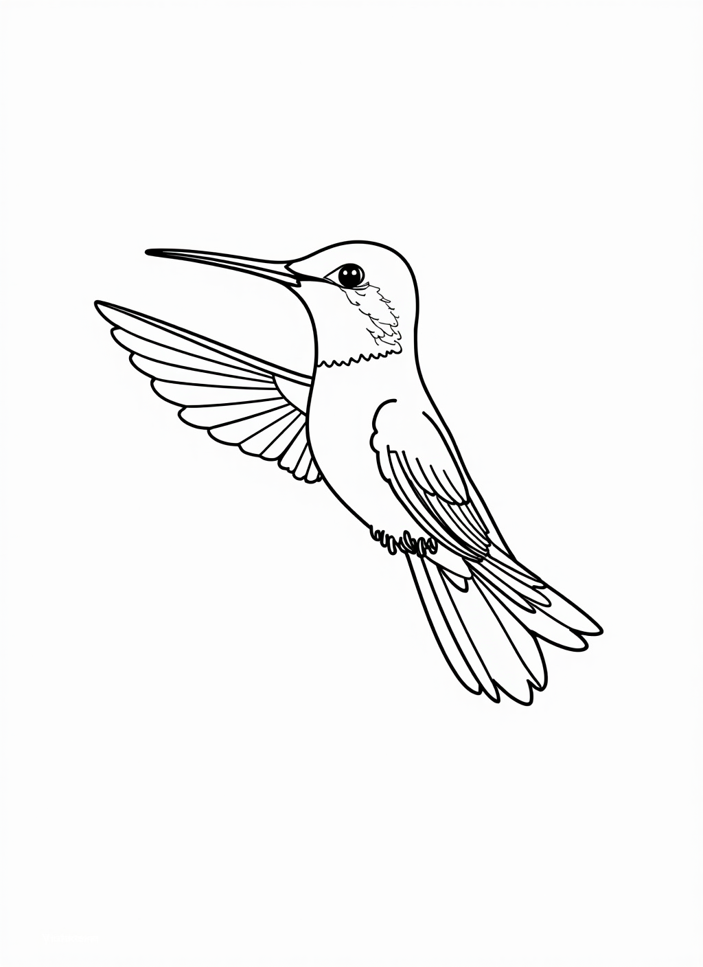 Hummingbird Coloring Page