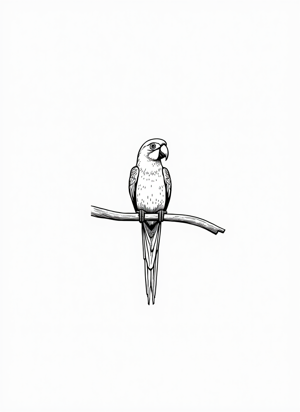 Parrot Coloring Page