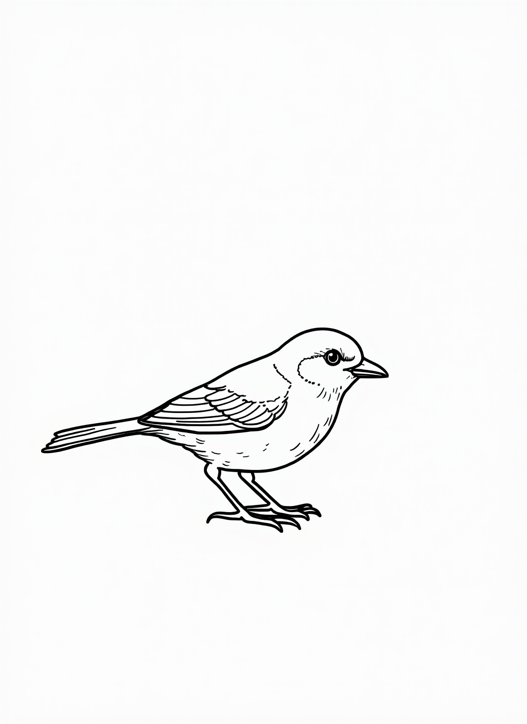 Sparrow Coloring Page